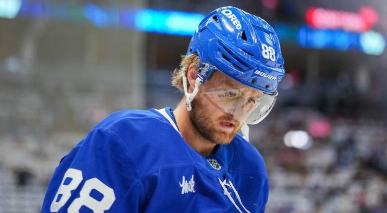 Maple Leafs Goalie Makes Feelings Clear on William Nylander