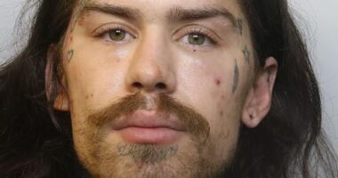 Marco Pierre White Jr has been jailed for a £60,000 burglary and shoplifting spree to fund his drug habit