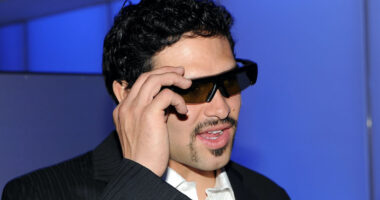 Mark Sanchez Police Audio Leaked: New Information Revealed