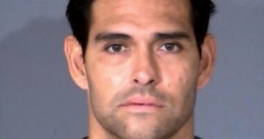 Mark Sanchez's trial will start December 11 but his recovery may force a delay to proceedings