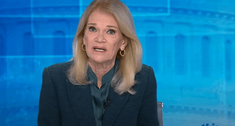 Martha Raddatz Shows Concern For Fat Generals
