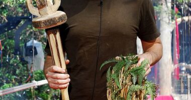 He was crowned King of the Jungle in 2006, but Matt Willis has now revealed he regrets ever signing up for I'm A Celebrity ... Get Me Out Of Here! (Pictured)