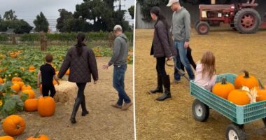 Meghan Markle, Prince Harry enjoy fall-filled day at the pumpkin patch with their kids