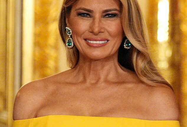 Melania Trump has followed in her husband's footsteps by posting AI videos online