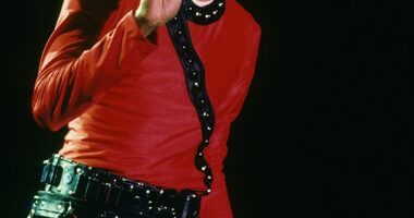 Jaws dropped around the world when Michael Jackson died just 18 days before he was due on stage for the first performance of his This Is It residency (Michael pictured in 1987)