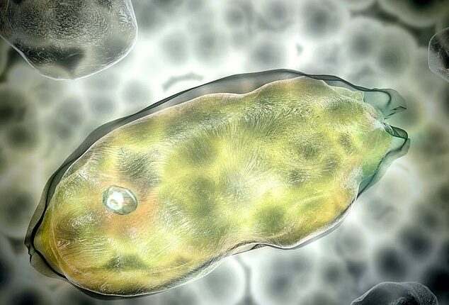 Back in 2022, an ancient virus called Pandoravirus that had lain frozen in Siberian permafrost for 48,500 years was revived. Pictured, digital rendering of Pandoravirus