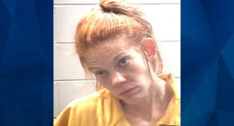 Mississippi Mom Arrested After 2 Sons, 2 & 5, Drown in Pool