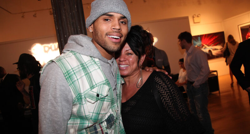 Proud Parent Vibes! Chris Brown's Mom Reenacts His Epic Flying Moment At 'Breezy Bowl' Tour (VIDEOS)