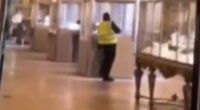 One of the suspected thieves who launched a jaw-dropping heist on the Louvre has been filmed wearing a hi-viz vest as they appear to break into a glass cabinet