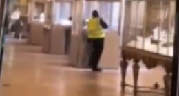 One of the suspected thieves who launched a jaw-dropping heist on the Louvre has been filmed wearing a hi-viz vest as they appear to break into a glass cabinet