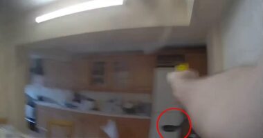 Mohammed Sarfaraz threw a boiling pan of oil (circled) at a pair of police officers as he tried to hide from them