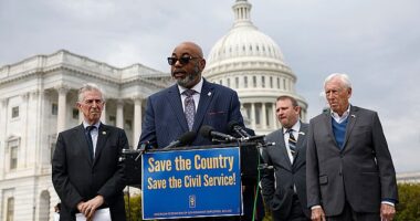 As the government hiatus stretches into a 28th day, American Federation of Government Employees President Everett Kelley (pictured) implored both sides of politics to find a solution to prevent millions of Americans from going hungry and working for free