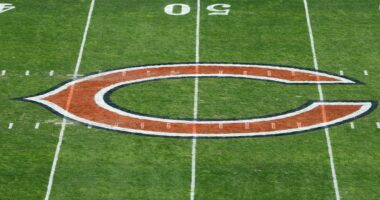 NFL Announces Punishment for Bears Player in Win Over Raiders