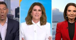 Nat Barr debated the restaurant's rule while speaking with Perth Lord Mayor Basil Zempilas and Sunshine Coast Mayor Rosanna Natoli on Sunrise on Thursday morning