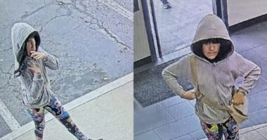 New Photo: Melodee Buzzard Seen Wearing a Wig as Search for Missing 9-Year-Old Continues