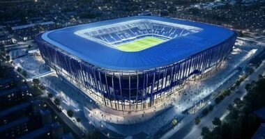 Only insiders have seen the plans so far for the proposed new stadium - despite the emergence of mock-up images online