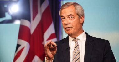 Nigel Farage appoints right-wing anti-abortion theologian as Reform senior adviser