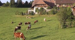 No Truth Allowed in Switzerland Now – HotAir