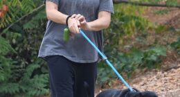 An actress who starred in the popular noughties show Two And A Half Men kept it casual for a weekend dog walk in Los Angeles