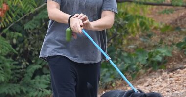 An actress who starred in the popular noughties show Two And A Half Men kept it casual for a weekend dog walk in Los Angeles