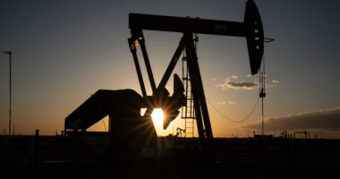 OPEC+ agrees to another output hike in November despite growing concerns of glut