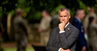 Officials blame Corey Lewandowski for the slow pace of immigration arrests