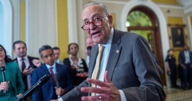 Oh, It's Just a Teeny, TINY Little Number of UNDOCUMENTED on That Healthcare Thing – HotAir