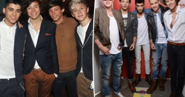 One Direction members set to reunite for new Netflix show after Liam Payne's death: report