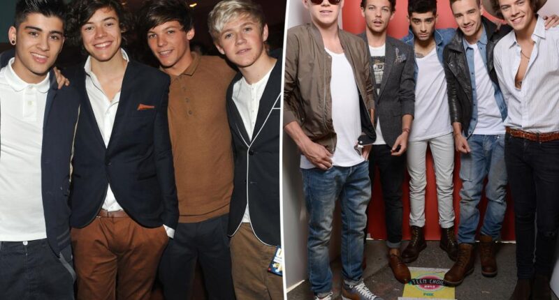 One Direction members set to reunite for new Netflix show after Liam Payne's death: report