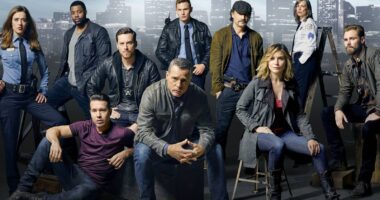 Over 10 Years Later, The Best Police Procedural Remains a Streaming Hit
