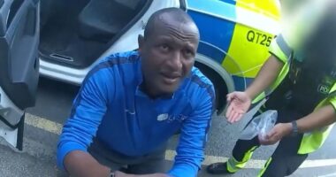 Pedo Migrant Whose Crimes Sparked Riots on the Run After 'Accidental' Prison Release.