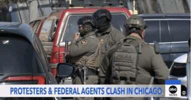 Pedophiles, Abusers Among Aliens Arrested By ICE