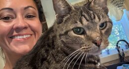A woman whose cat traveled over 100 miles at highway speeds on the roof of her car has recalled the 'terrifying' moment that she discovered the 'unfazed' feline