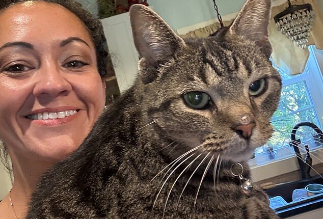 A woman whose cat traveled over 100 miles at highway speeds on the roof of her car has recalled the 'terrifying' moment that she discovered the 'unfazed' feline