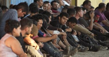 Police Group Slams Cities for Billions Spent on Illegal Aliens – RedState