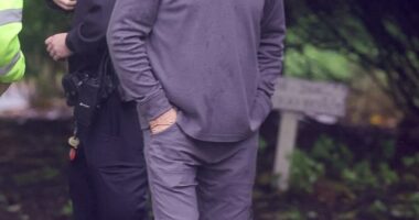 New details have emerged in Alec and Stephen Baldwin's horror Hamptons crash on Monday - The brothers had spent the weekend on Long Island at the Hamptons International Film Festival in East Hampton, New York