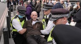 Police have started arresting pro-Palestinian protestors (pictured) after organisers refused to cancel the demonstration after a synagogue terror attack earlier this week