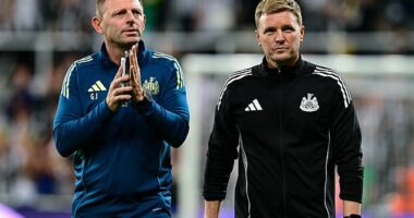 Graeme Jones (pictured with Eddie Howe) could be in line to join Sweden's coaching staff