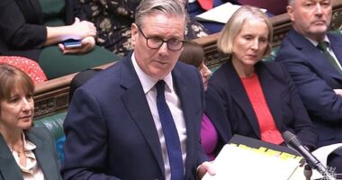 The Prime Minister today said he would back an inquiry by MPs into why the former Duke of York has lived rent-free at Royal Lodge in Windsor Park (below) for more than two decades.