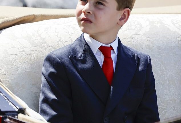 Prince Louis may only be seven years old, but he was already offered his first job as a working royal