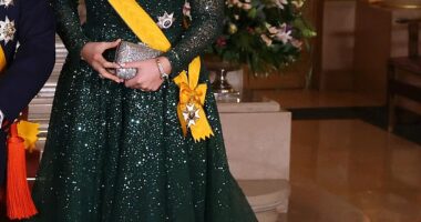 Putting her best fashion foot forward, Princess Catharina-Amalia donned a stunning £7,600 jade off-the-shoulder ballgown embroidered with glittering diamantes on Friday evening