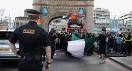Pro-Palestine protestors have shut down London's Tower Bridge as they chanted 'from the river to the sea' ahead of a Downing Street march