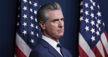 Questions for Gavin Newsom After Illegal Alien Truck Driver Arrested in Deadly SoCal Freeway Crash – RedState