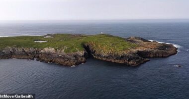 Gasker Island stretches about 70 acre and boasts a rocky coastline, fertile grassland, many lochans - small freshwater lakes - as well as a seal colony