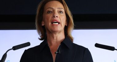 Reform MP Sarah Pochin has issued an apology after saying 'it drives me mad when I see adverts full of black people, full of Asian people'