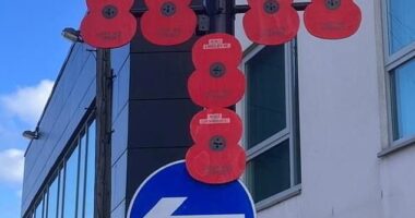 The Hoyland Remembrance and Parade Group (HRPG) in Barnsley, South Yorkshire, have said new requirements issued by the Barnsley council mean they can no longer hang poppies on lampposts
