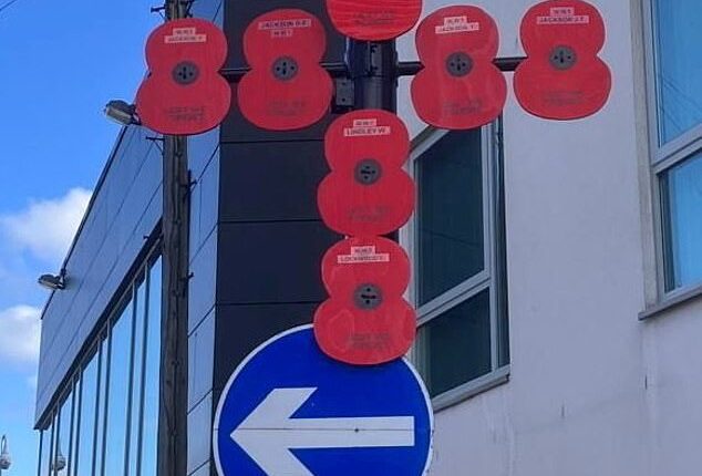 The Hoyland Remembrance and Parade Group (HRPG) in Barnsley, South Yorkshire, have said new requirements issued by the Barnsley council mean they can no longer hang poppies on lampposts