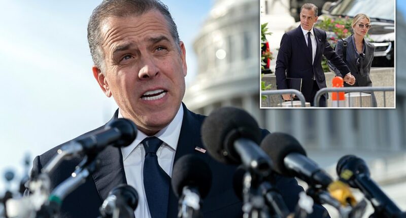 Hunter Biden privately compared himself to the grieving families of Sandy Hook massacre victims - an explosive revelation that shows just how besieged the former president's son felt as his legal troubles mounted and threatened to tank his father's presidency. In his new book, Devils' Advocates: The Hidden Story of Rudy Giuliani, Hunter Biden, and the Washington Insiders on the Payrolls of Corrupt Foreign Interests , author Ken Vogel provides one of the most astonishing details on Hunter's mindset. The Daily Mail obtained an early copy.