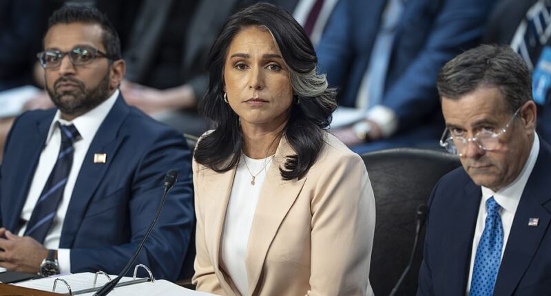 A sharp divide at the top of America's national security apparatus is bursting into public view as the FBI has told Congress it 'strongly' opposed a plan that would hand the nation's counterintelligence reins to the Office of the Director of National Intelligence. The bureau reportedly warned lawmakers against expanding the authority of Director of National Intelligence Tulsi Gabbard , a letter obtained by the New York Times showed. Gabbard's office would gain sweeping new power under the proposal that was shot down by Congress - highlighting growing unease and division across federal agencies.