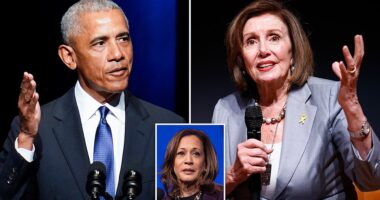 Former President Barack Obama was not pleased that former Speaker of the House Nancy Pelosi endorsed Vice President Kamala Harris the day after President Joe Biden dropped out of the presidential race. In his new book Retribution , ABC News' Jonathan Karl provided new details on what had been widely known - that Obama didn't want a quick coronation of Harris, but rather 'a process' to determine who would become the Democratic nominee. The Daily Mail obtained an advanced copy. Obama called Pelosi shortly after her endorsement of Harris became public.